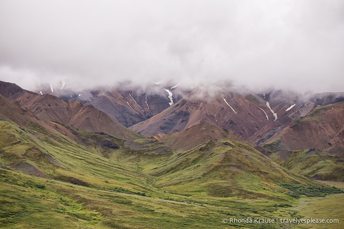 travelyesplease.com | Denali National Park- A Living Masterpiece