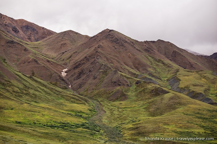 travelyesplease.com | Denali National Park- A Living Masterpiece