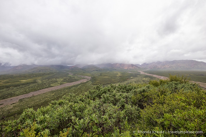 travelyesplease.com | Denali National Park- A Living Masterpiece