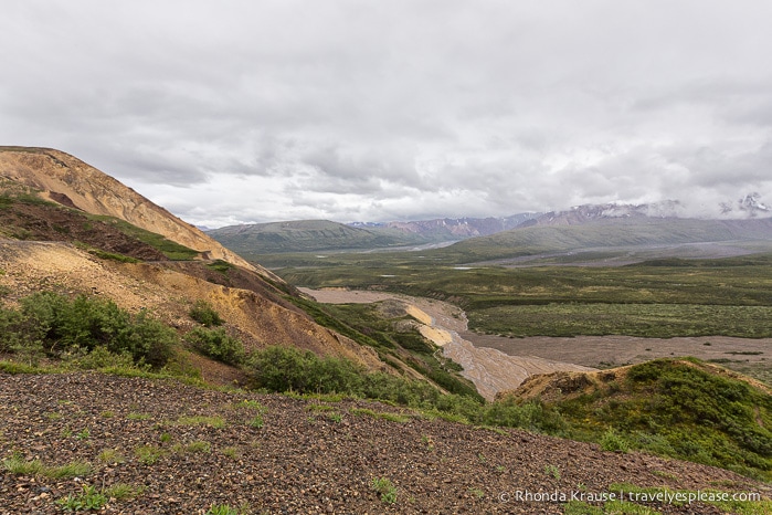 travelyesplease.com | Denali National Park- A Living Masterpiece