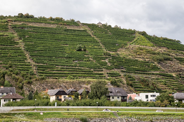 travelyesplease.com | Austria's Scenic Wachau Valley Cruise