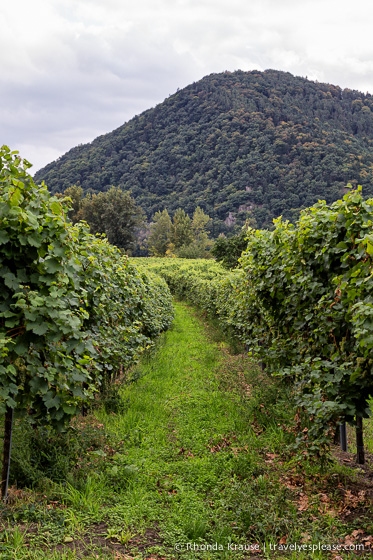 travelyesplease.com | Discovering the Beauty and Intrigue of Dürnstein