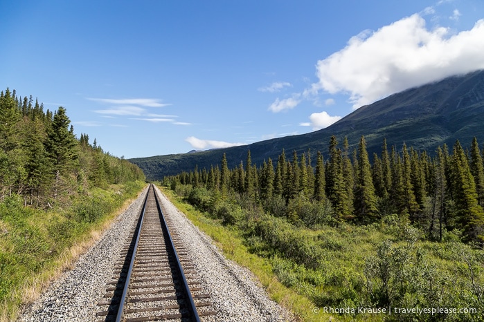 McKinley Explorer Train - Riding the Scenic Alaska Railroad