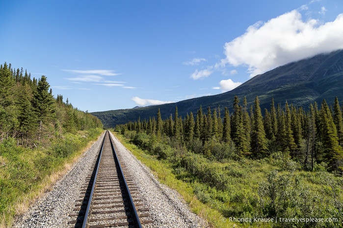 All Aboard The McKinley Explorer! - A Ride on the Scenic Alaska Railroad