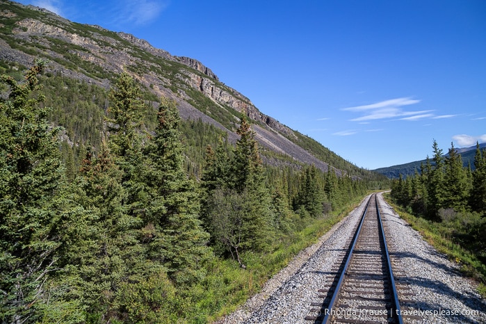 All Aboard The McKinley Explorer! - A Ride on the Scenic Alaska Railroad