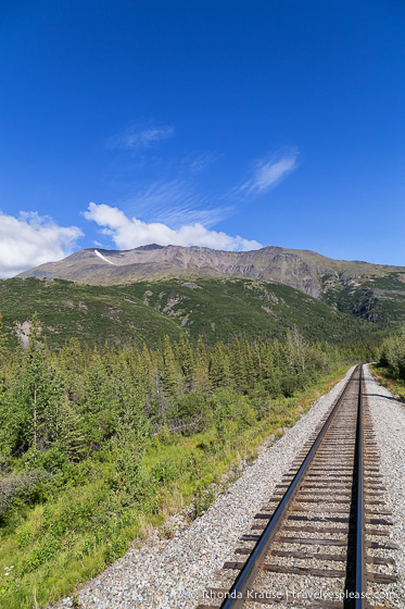 All Aboard The McKinley Explorer! - A Ride on the Scenic Alaska Railroad