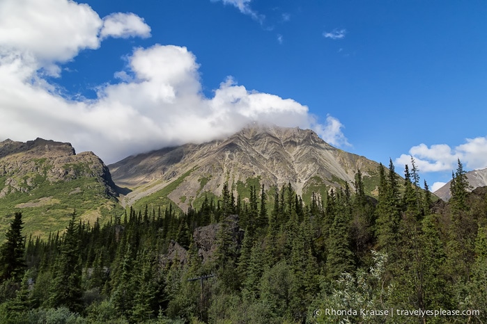 All Aboard The McKinley Explorer! - A Ride on the Scenic Alaska Railroad