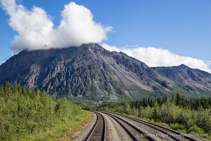 All Aboard The McKinley Explorer! - A Ride on the Scenic Alaska Railroad