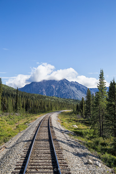 All Aboard The McKinley Explorer! - A Ride on the Scenic Alaska Railroad