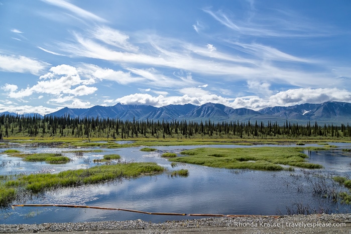 All Aboard The McKinley Explorer! - A Ride on the Scenic Alaska Railroad