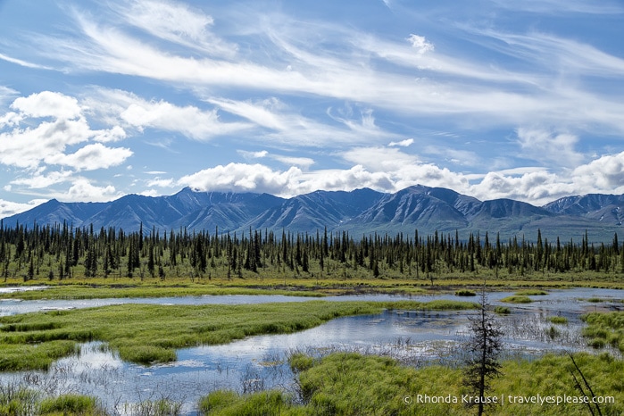 All Aboard The McKinley Explorer! - A Ride on the Scenic Alaska Railroad