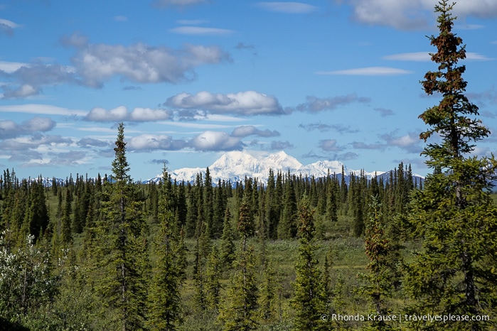 All Aboard The McKinley Explorer! - A Ride on the Scenic Alaska Railroad