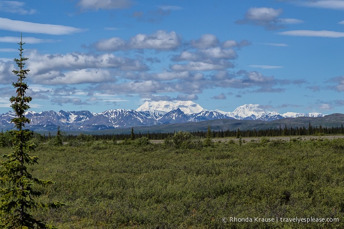 All Aboard The McKinley Explorer! - A Ride on the Scenic Alaska Railroad