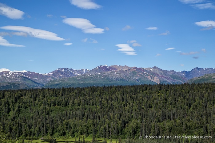 All Aboard The McKinley Explorer! - A Ride on the Scenic Alaska Railroad