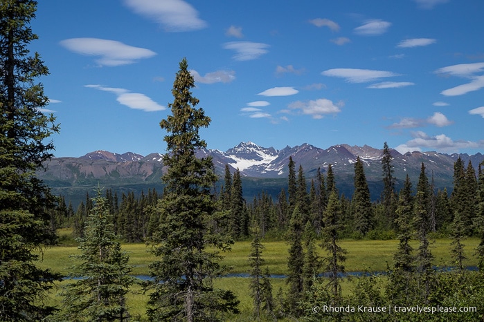 All Aboard The McKinley Explorer! - A Ride on the Scenic Alaska Railroad