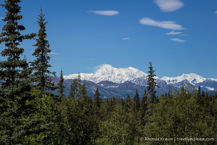 All Aboard The McKinley Explorer! - A Ride on the Scenic Alaska Railroad