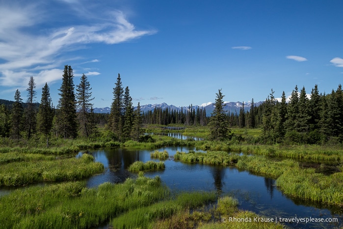 All Aboard The McKinley Explorer! - A Ride on the Scenic Alaska Railroad