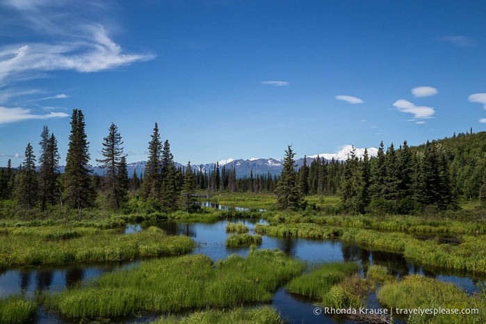 All Aboard The McKinley Explorer! - A Ride on the Scenic Alaska Railroad