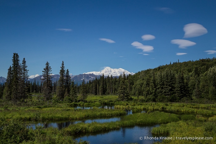 All Aboard The McKinley Explorer! - A Ride on the Scenic Alaska Railroad