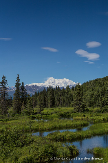 All Aboard The McKinley Explorer! - A Ride on the Scenic Alaska Railroad