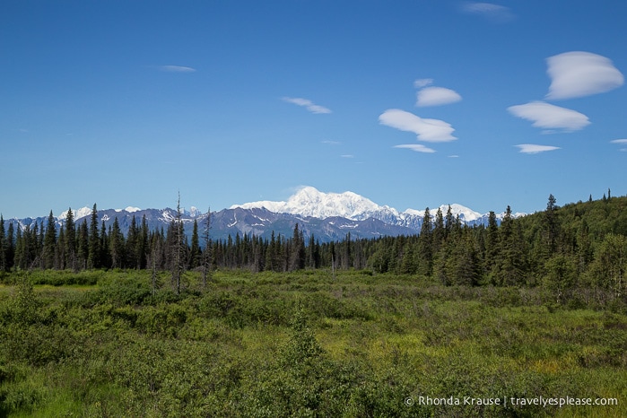 All Aboard The McKinley Explorer! - A Ride on the Scenic Alaska Railroad