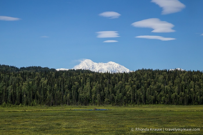 All Aboard The McKinley Explorer! - A Ride on the Scenic Alaska Railroad