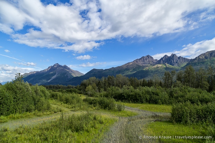 All Aboard The McKinley Explorer! - A Ride on the Scenic Alaska Railroad