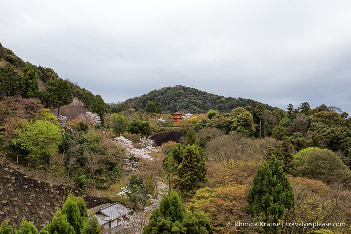 travelyesplease.com | Two Week Japan Itinerary- Hits and Misses From Our Two Weeks in Japan