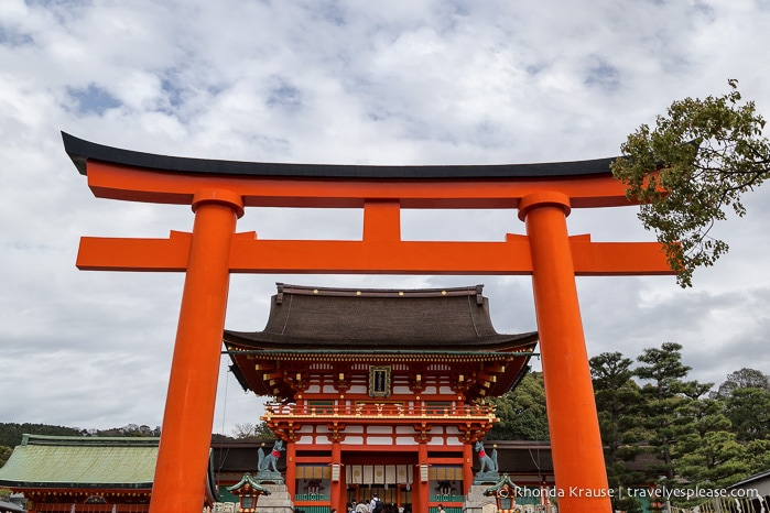 What to Expect on Your First Trip to Japan- A First Time Visitor’s Guide