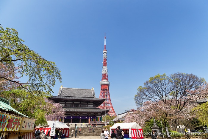 travelyesplease.com | What to Expect on Your First Trip to Japan: A First Time Visitor's Guide