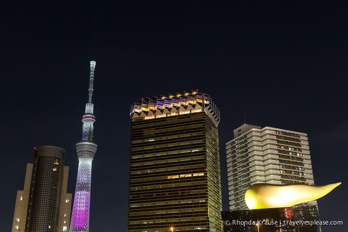 travelyesplease.com | Night Photos of Tokyo