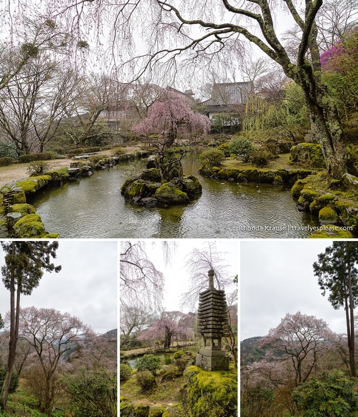 travelyesplease.com | Yoshino- Cherry Blossoms and a Whole Lot More!