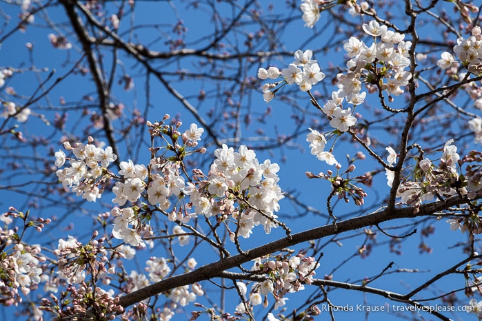 travelyesplease.com | Hiroshima Peace Memorial Park