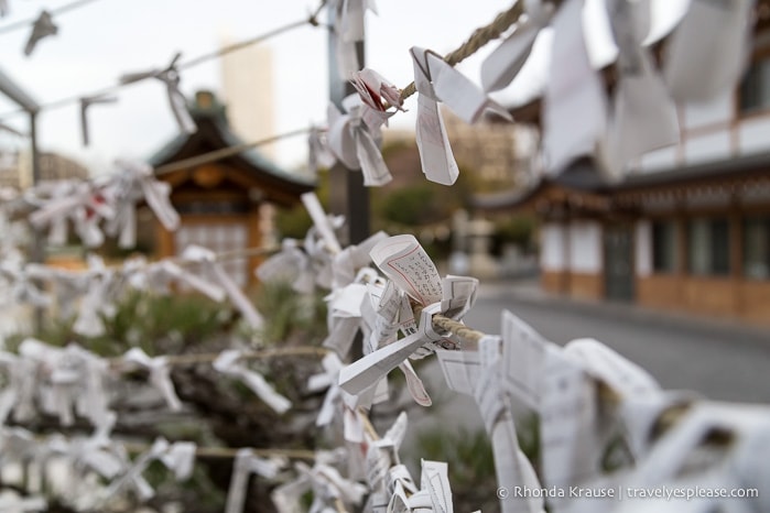 travelyesplease.com | Hiroshima Castle- History, Photos and Tips for Visiting