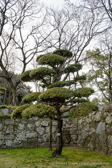 travelyesplease.com | Hiroshima Castle- History, Photos and Tips for Visiting