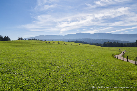 travelyesplease.com | Bavaria's Wieskirche- A Harmony of Landscape and Architecture