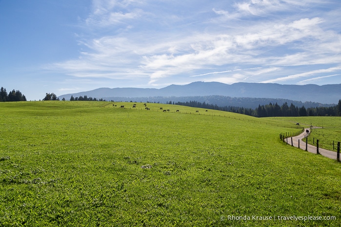 travelyesplease.com | Bavaria's Wieskirche- A Harmony of Landscape and Architecture