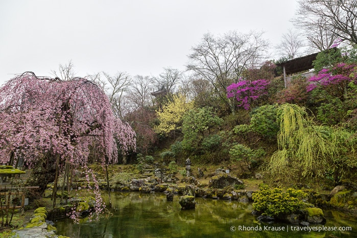 travelyesplease.com | Yoshino- Cherry Blossoms and a Whole Lot More!