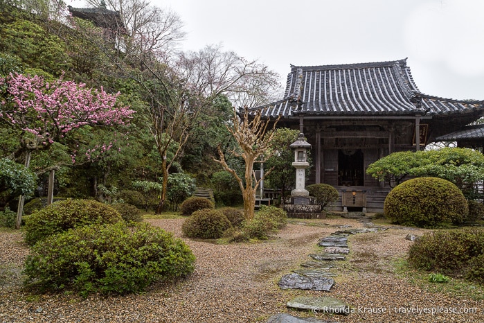 travelyesplease.com | Yoshino- Cherry Blossoms and a Whole Lot More!