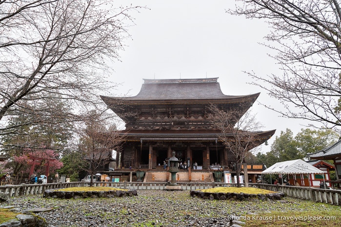 travelyesplease.com | Yoshino- Cherry Blossoms and a Whole Lot More!