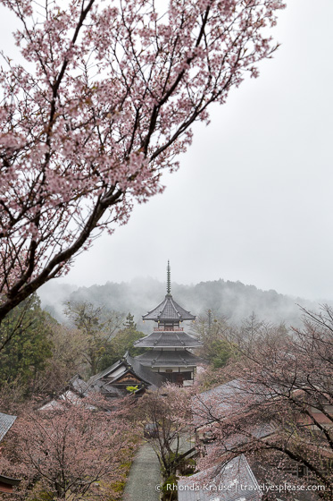 travelyesplease.com | Yoshino- Cherry Blossoms and a Whole Lot More!