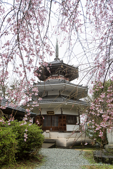 travelyesplease.com | Yoshino- Cherry Blossoms and a Whole Lot More!