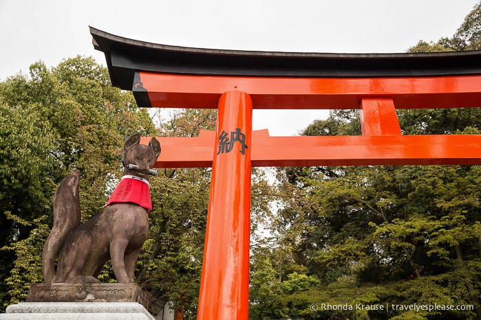 travelyesplease.com | Fushimi Inari Shrine- A Mountain Path Like No Other