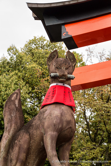 travelyesplease.com | Fushimi Inari Shrine- A Mountain Path Like No Other