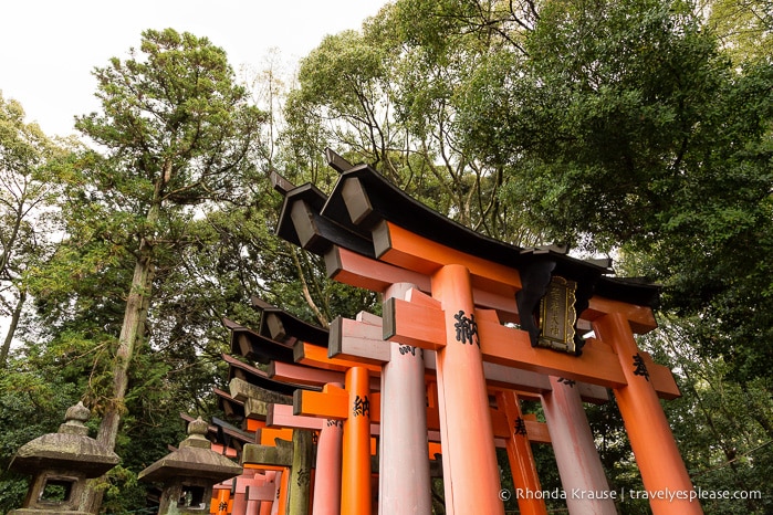 travelyesplease.com | Fushimi Inari Shrine- A Mountain Path Like No Other