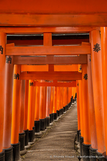 travelyesplease.com | Fushimi Inari Shrine- A Mountain Path Like No Other