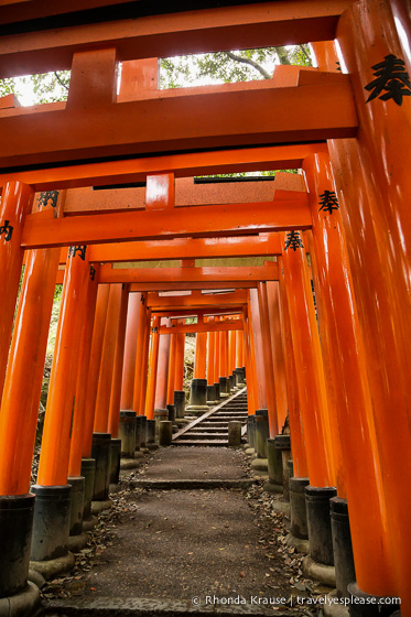 travelyesplease.com | Fushimi Inari Shrine- A Mountain Path Like No Other