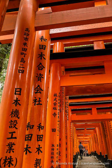 travelyesplease.com | Fushimi Inari Shrine- A Mountain Path Like No Other