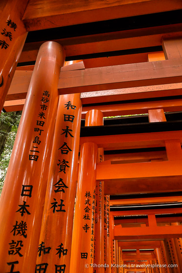 travelyesplease.com | Fushimi Inari Shrine- A Mountain Path Like No Other