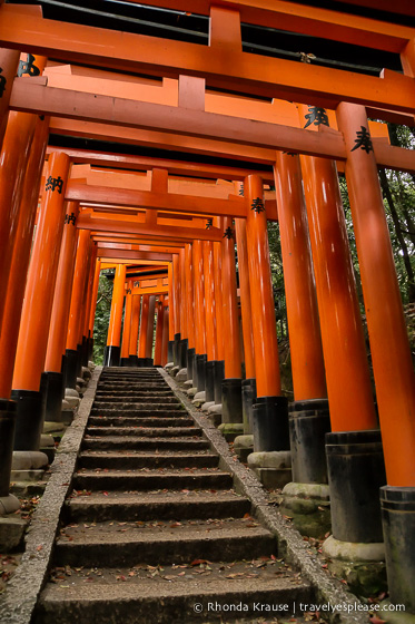 travelyesplease.com | Fushimi Inari Shrine- A Mountain Path Like No Other